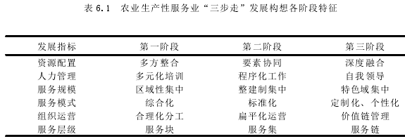 表 6.1 農(nóng)業(yè)生產(chǎn)性服務(wù)業(yè)“三步走”發(fā)展構(gòu)想各階段特征